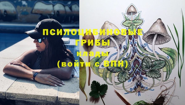 твердый Бугульма