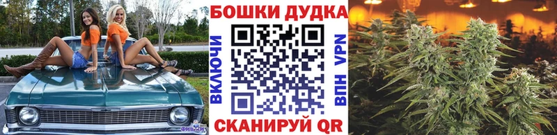 купить наркотики сайты  Туран  Марихуана SATIVA & INDICA 